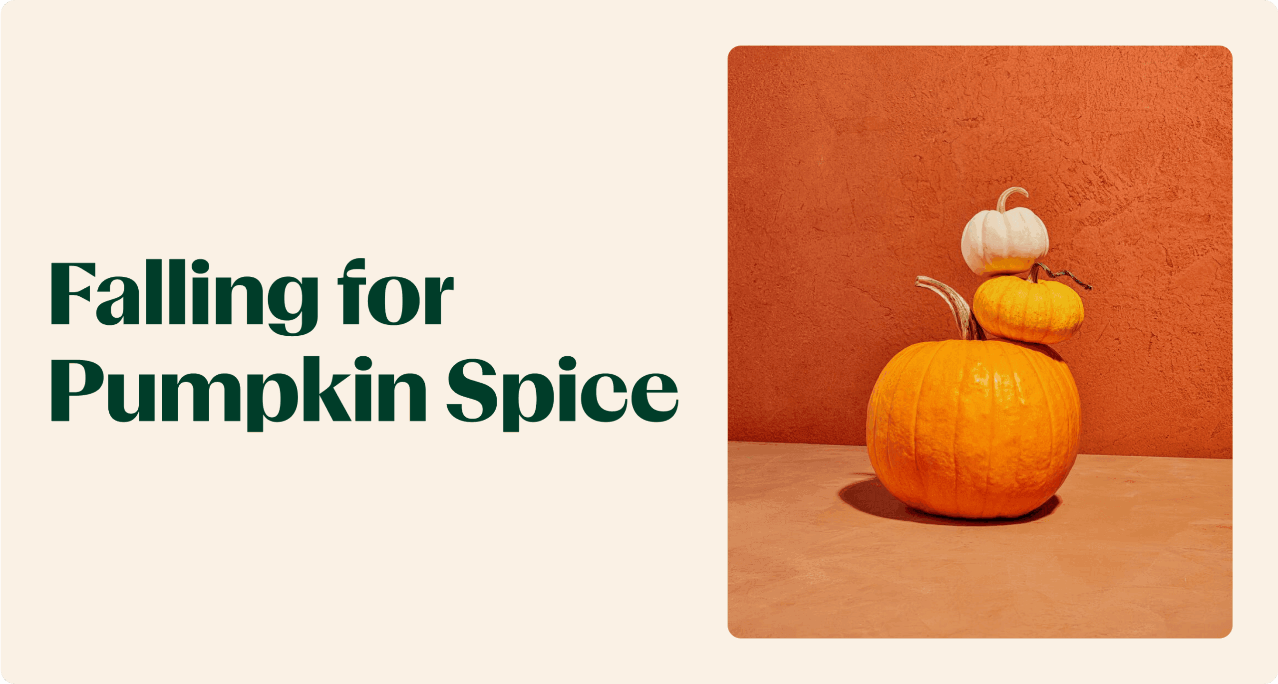 0 — Feature Image (1)