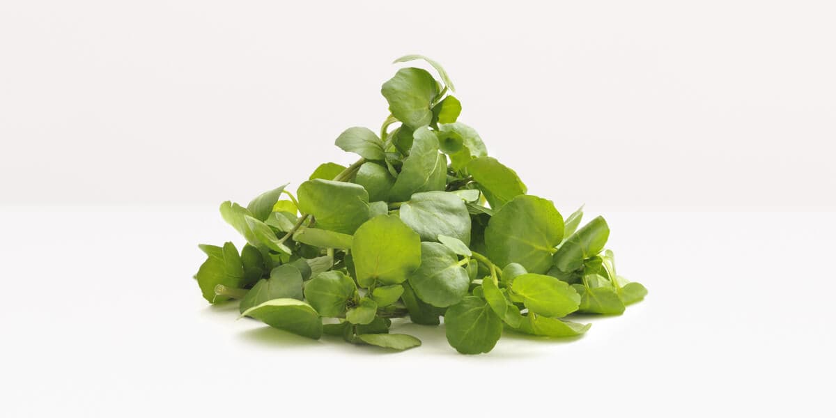 Watercress
