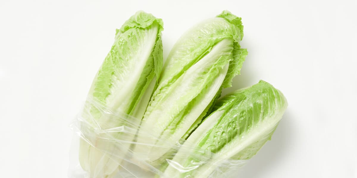 Romaine Lettuce
