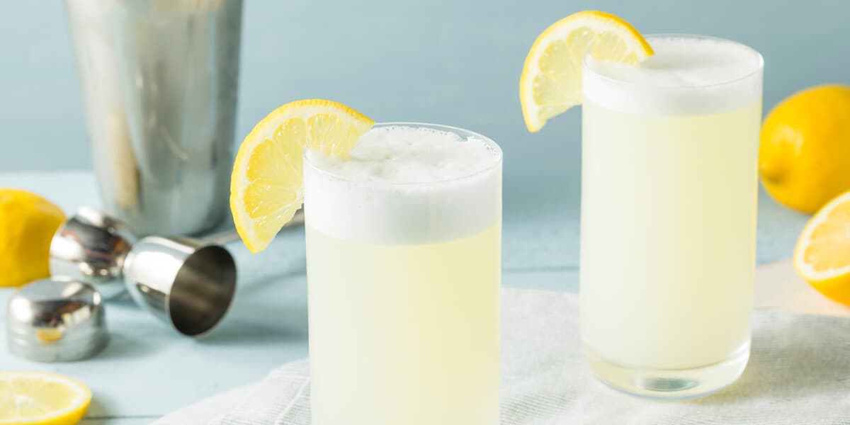 Refreshing Cold Egg Gin Fizz