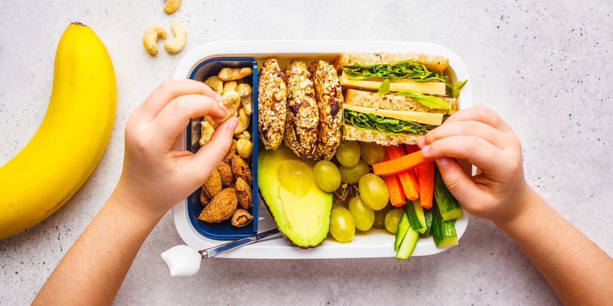 School healthy lunch box with sandwich, cookies, fruits and avocado on white background.