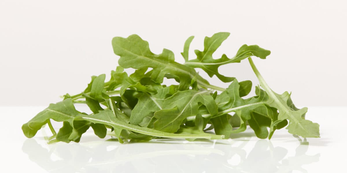 Arugula