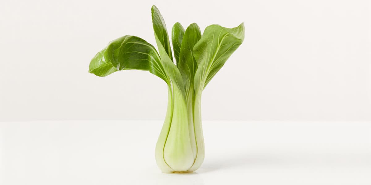 Bok Choy