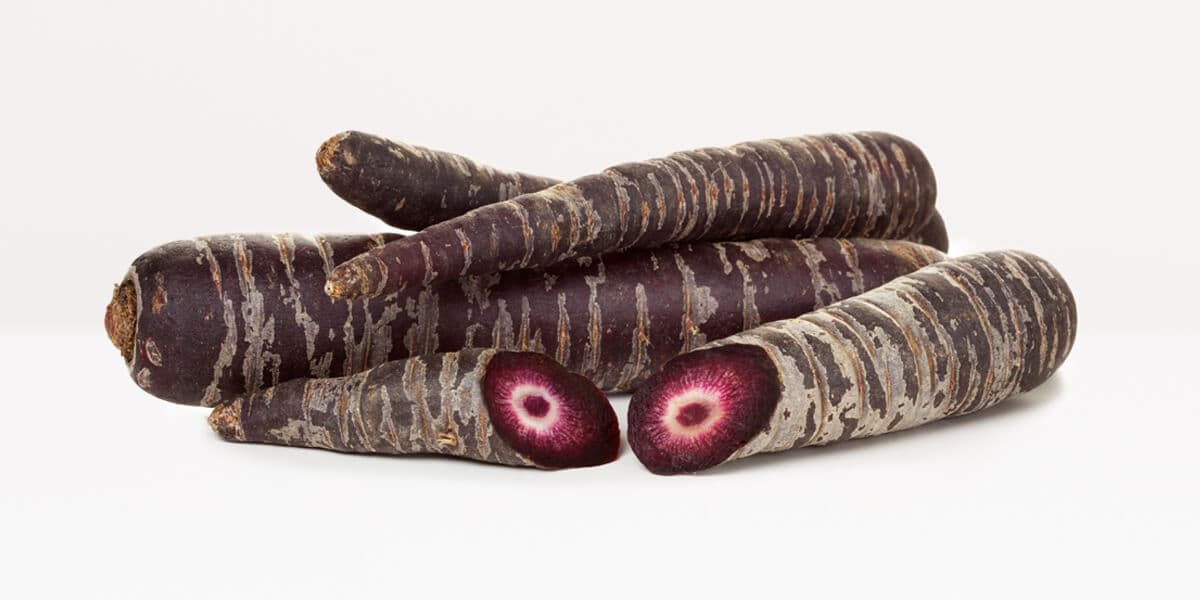 Purple Carrots